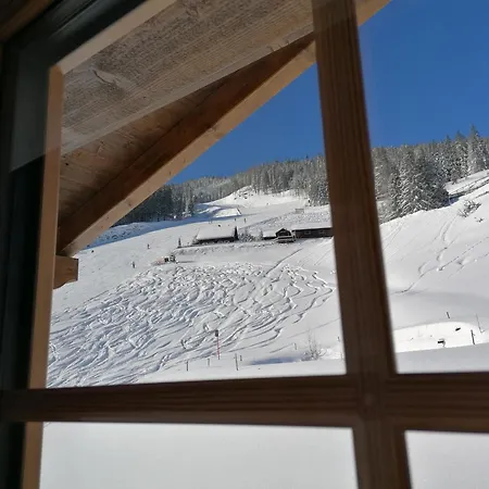 Chalet Stegerhof Premium App Reiteralm Apartmán